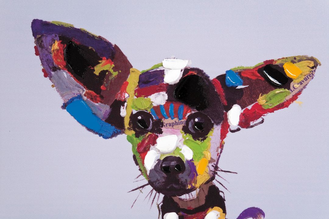 KARE Ölbild Chihuahua 50x50cm 33051